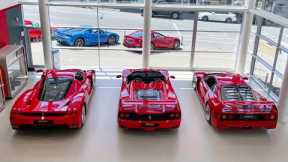 DREAM DAY! 24 hours To Drive A Ferrari F40, F50 and an ENZO!
