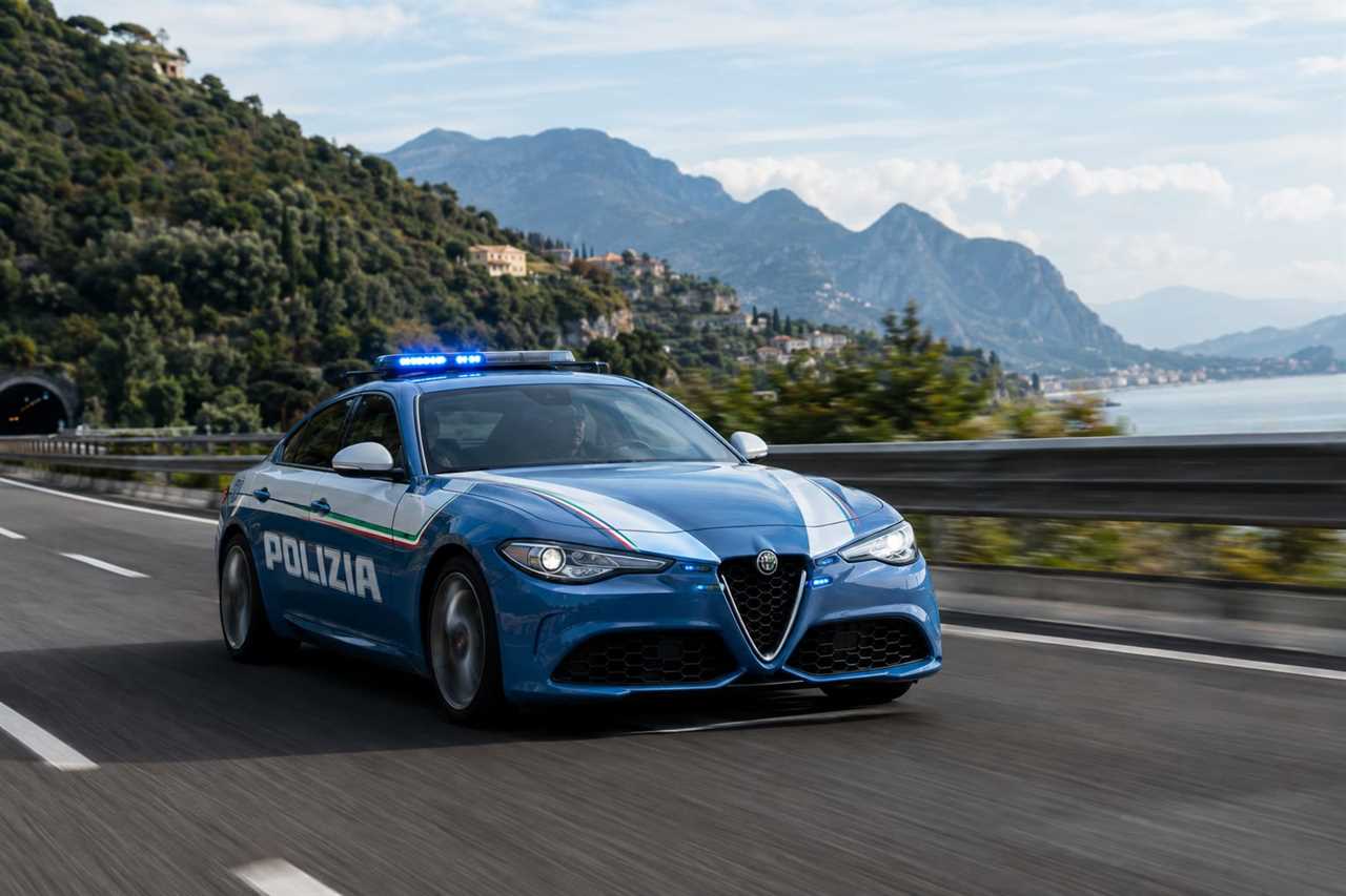 Patrol car races along a scenic motorway