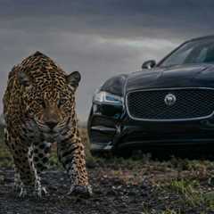 electric vehicles