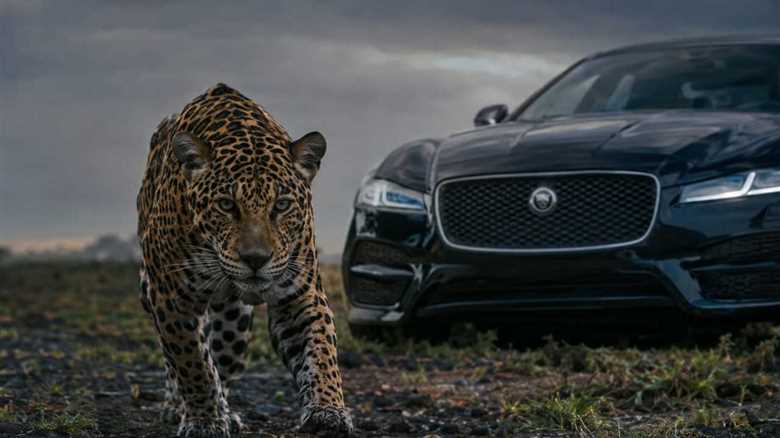 Jaguar Is Deep in Trouble. Can It Be Saved?