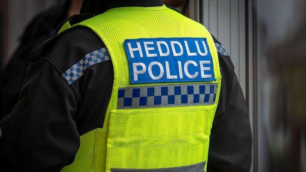 Driver and dog killed as Audi crashes into parked car and bursts into flames in Powys